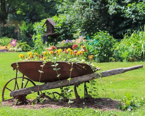 background of trees with wheelbarrow of flowers planted in foreground