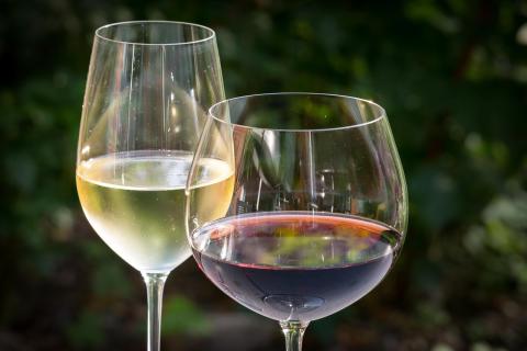 A glass of white wine in a tall glass sits next to a glass of red wine in a shorter glass against a leafy backdrop.