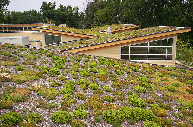 green roof