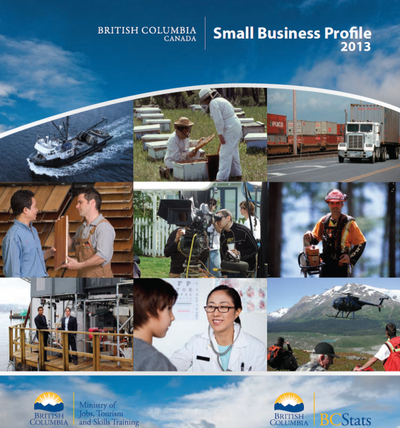 Small Business Profile 2013