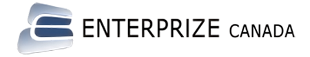 Enterprize logo
