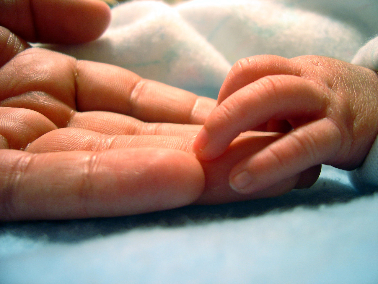 adult hand reaching for baby infant hand